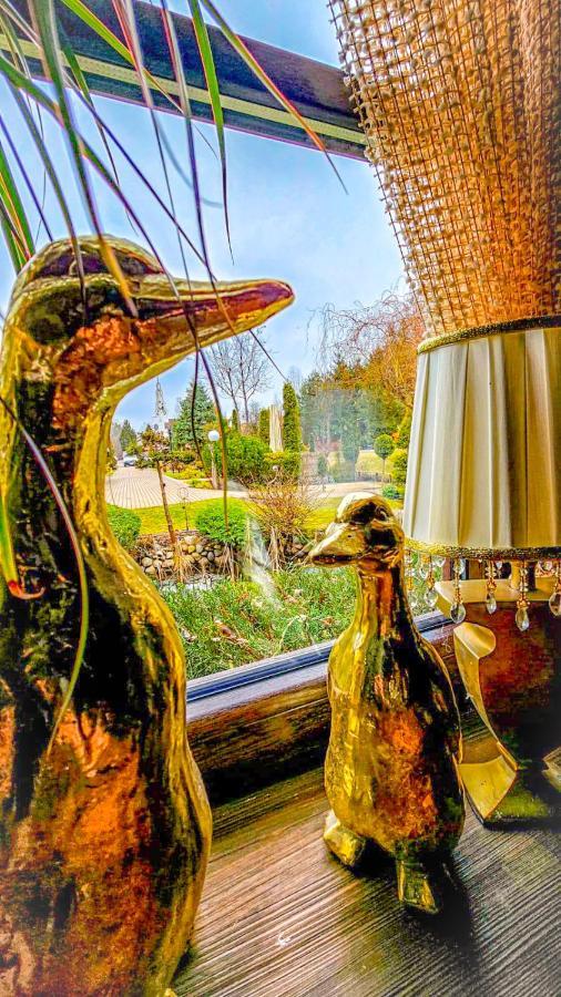 ホテル Kaktusik アウグストゥフ エクステリア 写真